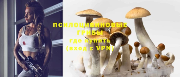 марки nbome Бородино