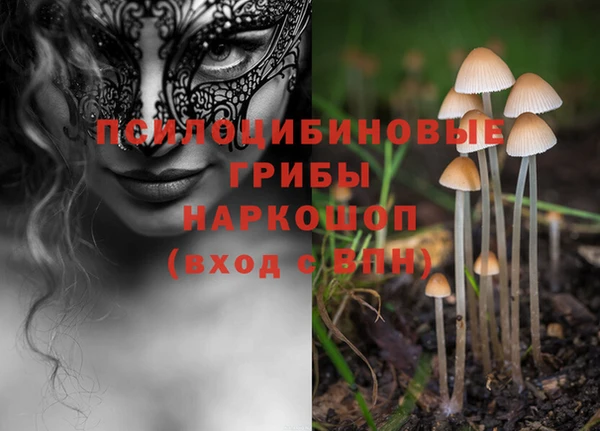 твердый Бронницы