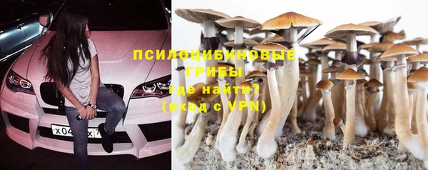 твердый Бронницы