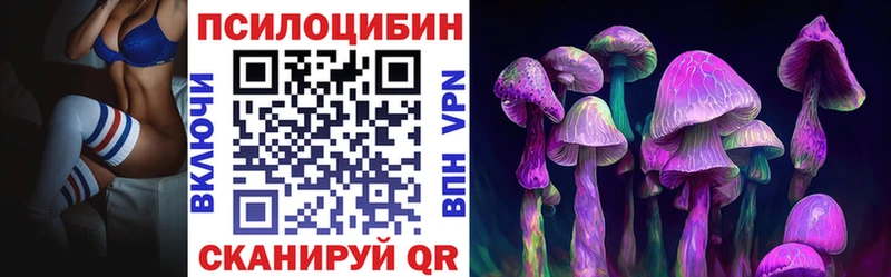 blacksprut вход  Кинель  Галлюциногенные грибы GOLDEN TEACHER 