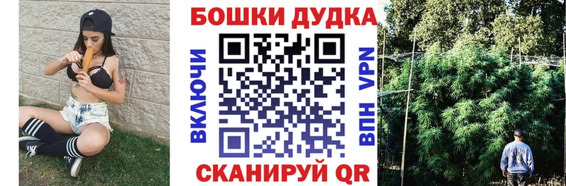Бошки марихуана Amnesia  что такое   Кинель 